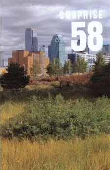 Surprise 58 by Julien Gardair a booklet cutout this issue is about Hunter Point park in Long Island City, New York