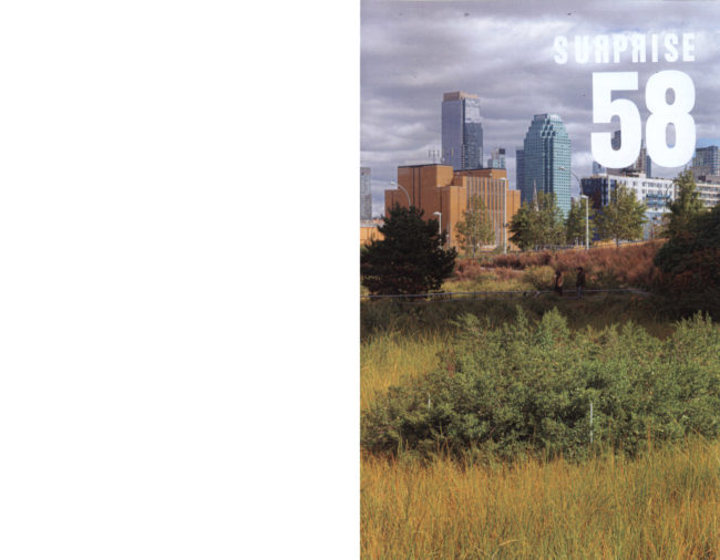 Surprise 58 by Julien Gardair a booklet cutout this issue is about Hunter Point park in Long Island City, New York